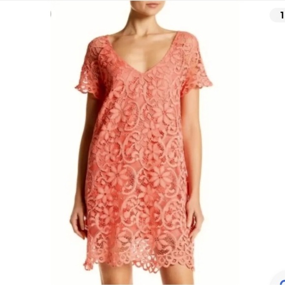 BB Dakota Coral Peach Lace Rene Shift Dress - Picture 5 of 16